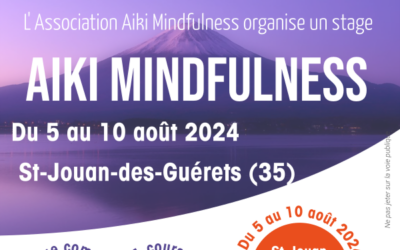 Stage été 2024
